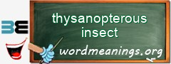 WordMeaning blackboard for thysanopterous insect